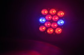 7W 9W 12W 15W E27 LED Bulb Grow Lamp Red & Blue LED Plant Grow Lamp Light Bulbs for Flowering Plant And Hydroponics