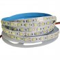 LED LIGHT STRIP 5050 BRIGHT 12V60 LIGHT TRANSPARENT LIGHT BEAD ANTI-VULCANIZATION SHOWCASE CABINET LIGHT STRIP FACTORY SPOT