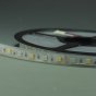 RGB White LED Strip light IP68 5050SMD Color change with white color 5meter(16.4ft) 300LEDs