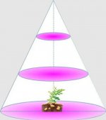 Plant Growth RED:BLUE /660nm:460nm LED Grow Light SMD2835 120LEDs 12V 24W Per Meter Strip