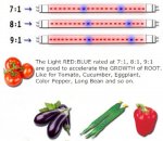 Plant Growth RED:BLUE /660nm:460nm LED Grow Light SMD5050 60LEDs 12V 14.4W Per Meter Strip