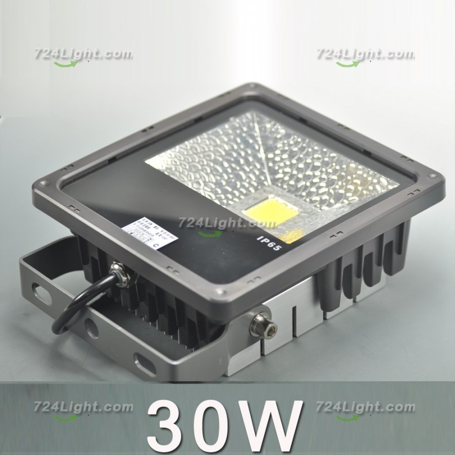 Superbright 30 Watt Power LED Flood Light