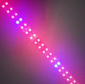 Plant Growth RED:BLUE /660nm:460nm LED Grow Light SMD3528 240LEDs 12V 24W Per Meter Strip