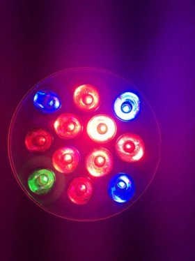 12W LED Growing Lamp E27 Base 4 Bands Plant Growing Bulb for Plant Works Best with Seeds through Flowering, Indoor Garden Greenhouse, Hydroponics and Aquatic Systems