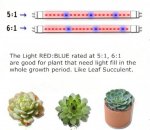Plant Growth RED:BLUE /660nm:460nm LED Grow Light SMD2835 120LEDs 12V 24W Per Meter Strip