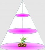 Plant Growth RED:BLUE /660nm:460nm LED Grow Light SMD5050 60LEDs 12V 14.4W Per Meter Strip