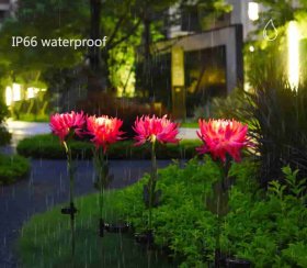 Outdoor Solar Garden Stake Lights, 3 Pack Chrysanthemum Flower Lights, IP66 Waterproof LED Decorative