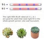 Plant Growth RED:BLUE /660nm:460nm LED Grow Light SMD5050 60LEDs 12V 14.4W Per Meter Strip