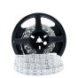380nm 385nm SMD5050-600 12V 12A 144W UV LED Strip Light for UV Curing, Currency Validation