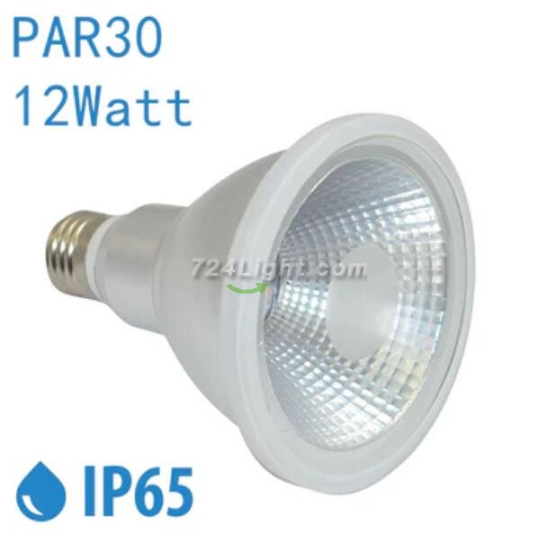 Outdoor PAR30 LED Light Bulb 12W 800Lumen (80W Equivalent) 120-degree Flood Beam E27/E26 Non-Dimmable Waterproof IP65 Par Light