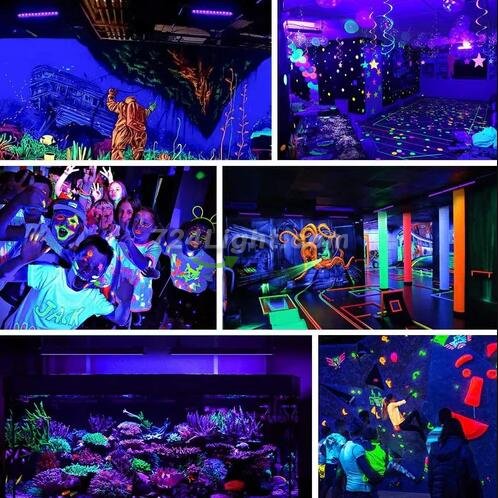 2 Pack Black Lights - 30W 385-400 nm AC85-265V Upgraded LED Flood Light with Switch, Waterproof IP66 for Glow Party, Stage Lighting, Aquarium, Glow in The Dark, Body Paint, Fluorescent Poster, Neon Glow