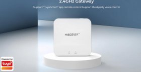 WL-Box2 2.4GHz Gateway