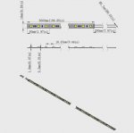DC 12V Dimmable SMD5050-300 Flexible LED Strips 60 LEDs Per Meter 10mm Width 900lm Per Meter