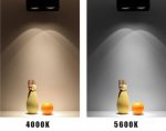 4PCS Pack 7W/10W 110V 220V AC Square LED Downlight Anti-glare Single Head LED Spotlight for Living Room Home Ceiling Aisle Lighting