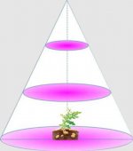 Plant Growth RED:BLUE /660nm:460nm LED Grow Light SMD2835 60LEDs 12V 12W Per Meter Strip