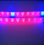 Plant Growth RED:BLUE /660nm:460nm LED Grow Light SMD2835 60LEDs 12V 12W Per Meter Strip