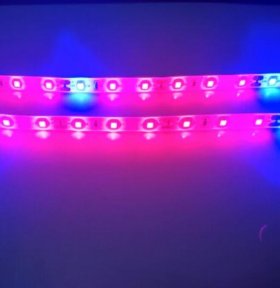 Plant Growth RED:BLUE /660nm:460nm LED Grow Light SMD2835 60LEDs 12V 12W Per Meter Strip
