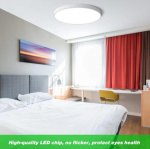 12 Inch 24W Flush Mounting Modern LED Ceiling Lights for Bedroom, Kitchen, Bathroom