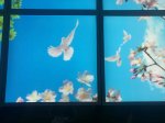 5 PACK LED Skylight 1x4FT - 300*1200mm 36W 3060LM Blue Sky LED Flat Panel Light Framed For Ceiling Decoration