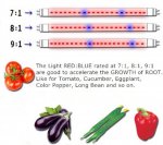 Plant Growth RED:BLUE /660nm:460nm LED Grow Light SMD5050 120LEDs 12V 28.8W Per Meter 15mm Width Strip