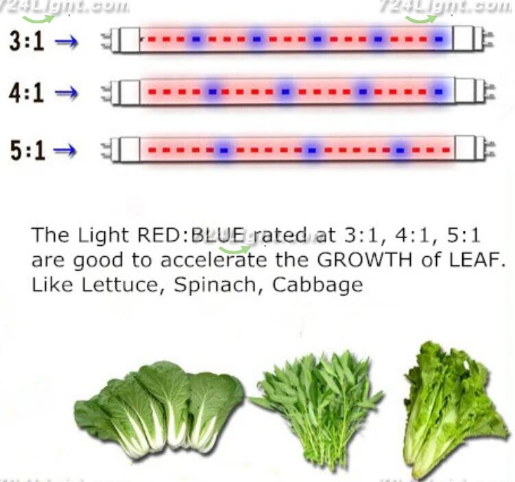 Plant Growth RED:BLUE /660nm:460nm LED Grow Light SMD5050 60LEDs 12V 14.4W Per Meter Strip