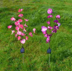 Solar Garden Light,IP65 Waterproof Solar Powered Orchid Lights with 40 Flower,2 Colors Decorative