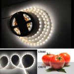 High CRI 90 LED Strips, Flexible 5M LED Strips, SMD2835-300 60 LEDs 1000LM Per Meter 8mm Wide Tape