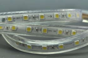 5050 RGB 110V 120V 220V 230V LED Strip Rope Light 12MM 60LED 1M SMD 5050 RGB LED Strip Lights