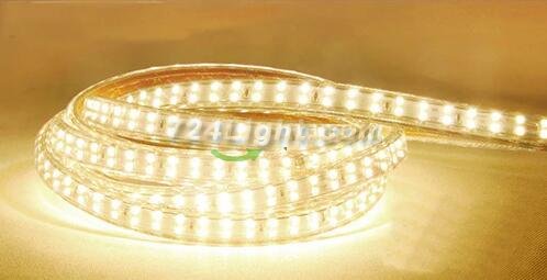 AC 110V 220V SMD2835 High Voltage Flat Strip Light 180 LEDs Per Meter Double Row with the power plug