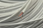 Wholesale White Jacketed LED Extension Cable Wire Cord 2Pin Line Free Cutting 1M - 100M (3.28foot - 328foot) 22AWG for led strips single color 3528 5050 Strip Lighting