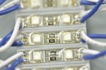 3528 SMD LED Modules 3528 2 LED Modules 26x0.7MM 12V 0.2W Waterproof Modules