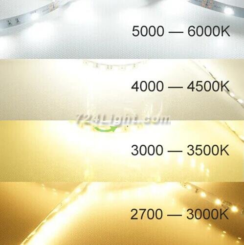 DC 12V Dimmable SMD5050-300 Flexible LED Strips 60 LEDs Per Meter 10mm Width 900lm Per Meter