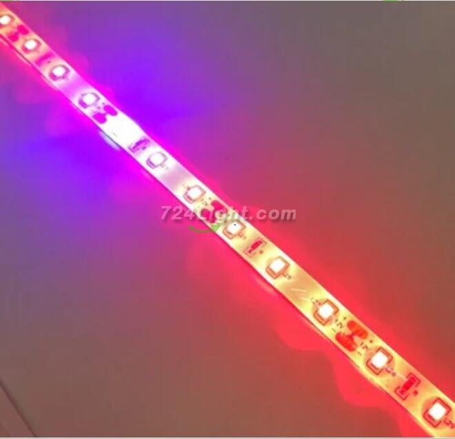 Plant Growth RED:BLUE /660nm:460nm LED Grow Light SMD2835 60LEDs 12V 12W Per Meter Strip