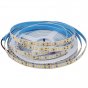 24V2835 10MM LED STRIP LIGHT 120LEDS/METER LOW VOLTAGE HIGH BRIGHTNESS STRIP LIGHT 10M (32.8FT) 1200LEDS 2835STRIP LIGHTSS