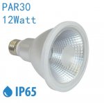 Outdoor PAR30 LED Light Bulb 12W 800Lumen (80W Equivalent) 120-degree Flood Beam E27/E26 Non-Dimmable Waterproof IP65 Par Light
