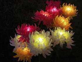 Outdoor Solar Garden Stake Lights, 3 Pack Chrysanthemum Flower Lights, IP66 Waterproof LED Decorative