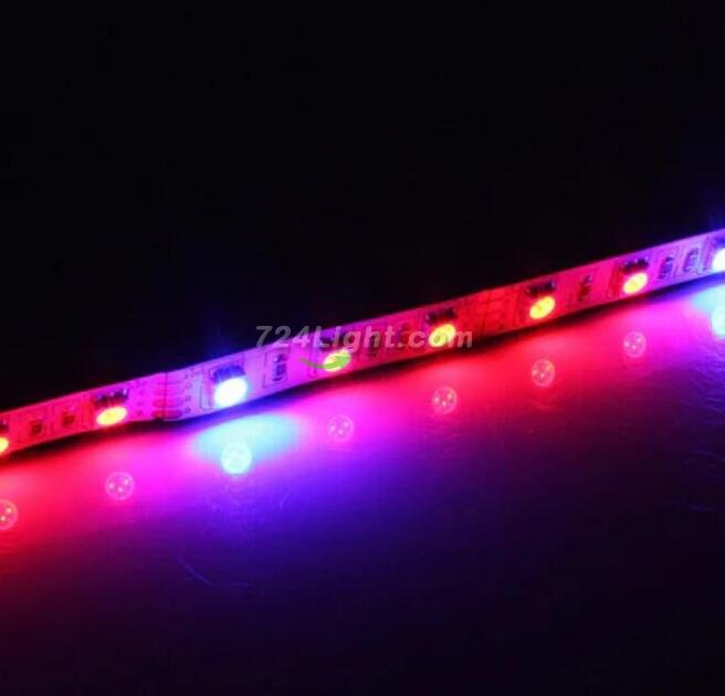 Plant Growth RED:BLUE /660nm:460nm LED Grow Light SMD5050 60LEDs 12V 14.4W Per Meter Strip