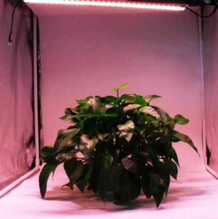 (image for) LED Grow Light Strip Kit with Full Spectrum LEDs, 36W IP65 Waterproof Dimmable LED Plant Grow Light Bar for Germination, Growth and Flowering