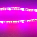 10Pcs 2/3/4 feet LED Tube T8 Grow Light Red/Blue Spectrum (R:B=5:1) Clear Lens for Indoor Plant Veg and Flower Hydroponic Greenhouse Growing Bar Light