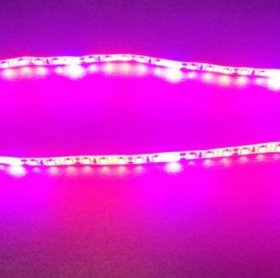 10Pcs 2/3/4 feet LED Tube T8 Grow Light Red/Blue Spectrum (R:B=5:1) Clear Lens for Indoor Plant Veg and Flower Hydroponic Greenhouse Growing Bar Light
