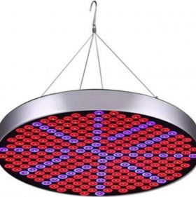 LED Grow Light 50W AC90~265V 250LEDs Round Plant Growing Lamp Red and Blue LED Chips Indoor Greenhouse Plant Grow Indoor Plants LED Lamp