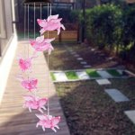 Solar Wind Chimes, Pig Solar Wind Chimes Outdoor Decorative Lights For Patio Garden Window Holiday Gifts