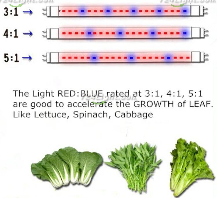 Plant Growth RED:BLUE /660nm:460nm LED Grow Light SMD5050 120LEDs 12V 28.8W Per Meter 15mm Width Strip