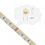 12V Dual White LED light Strip, 16.4FT/5Meter SMD5050-300 60 LEDs Per Meter 2 in 1 Color Temp-Adjustable Flexible LED Strip Light