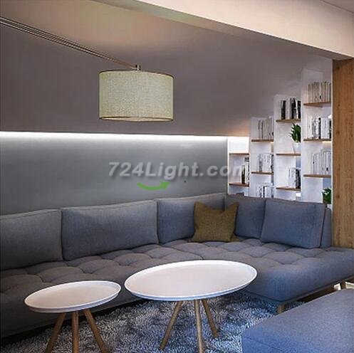 32.8Feet 110V AC / 220V AC Spotless FCOB LED Flexible Strip Light, IP65 Waterproof High Brightness with Inline Switch