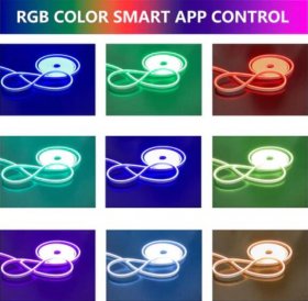 65.6FT (20Meters) LED Neon Rope Lights RGB Color with Remote Controller 8x16(mm) 8Watt 120LEDs/M Flexibl 110V/220V AC Rope Lights Waterproof, Custom Cuttable Neon Lighting for In&Outdoor