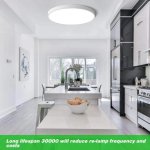 12 Inch 24W Flush Mounting Modern LED Ceiling Lights for Bedroom, Kitchen, Bathroom