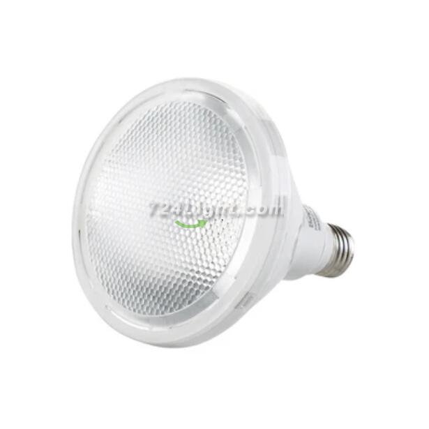 Outdoor PAR38 LED Light Bulb 9W RGB Color Changing Light 60-degree Beam E27/E26 AC100-265V Non-Dimmable Waterproof IP65 Par Light