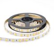 (image for) 12V Dual White LED light Strip, 16.4FT/5Meter SMD5050-300 60 LEDs Per Meter 2 in 1 Color Temp-Adjustable Flexible LED Strip Light