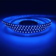(image for) 16.4FT/5M SMD3838-600 LED Strips RGB Color High Density 120 LEDs 12Watt Per Meter 8mm Wide RGB LED Tape